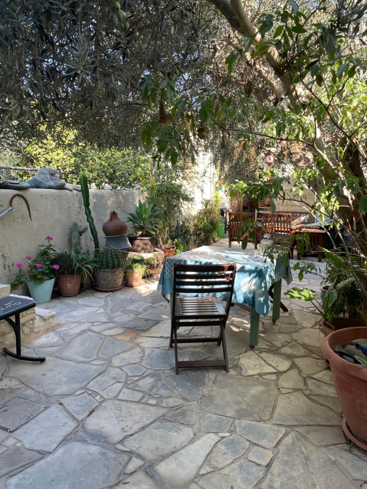 Avli-the courtyard Otel Lefkoşa Dış mekan fotoğraf